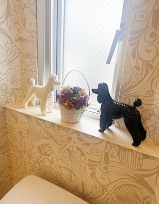 横浜のトリミングサロン TAROIMO 店内画像3