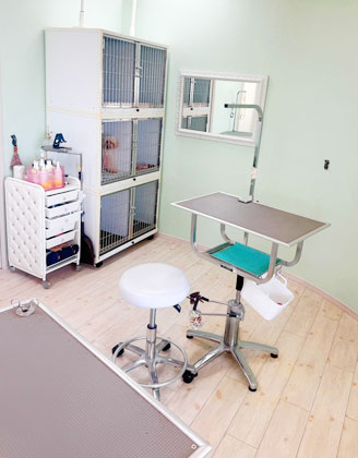 横浜のトリミングサロン TAROIMO 店内画像4